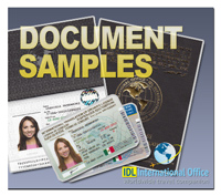 International drivers license translation document sample