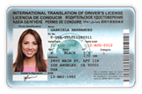 IDL Card - Metallic style