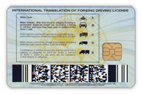 IDL Card - Silver style